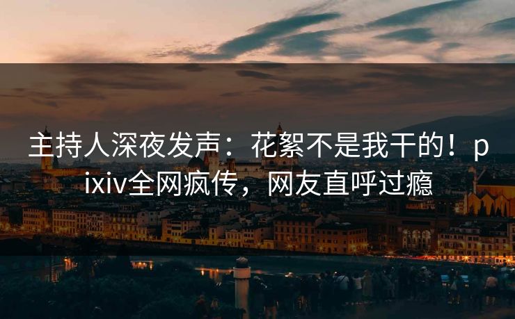 主持人深夜发声：花絮不是我干的！pixiv全网疯传，网友直呼过瘾