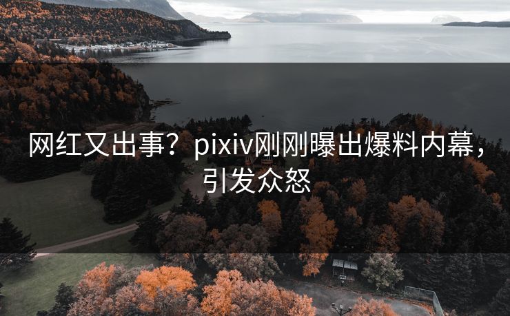 网红又出事？pixiv刚刚曝出爆料内幕，引发众怒