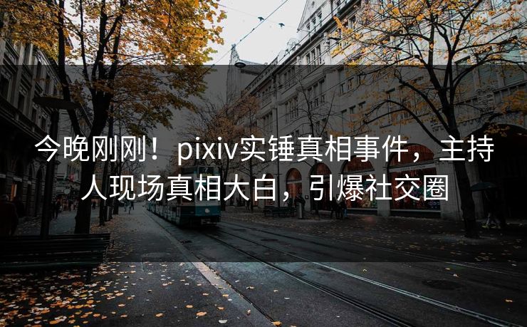 今晚刚刚！pixiv实锤真相事件，主持人现场真相大白，引爆社交圈