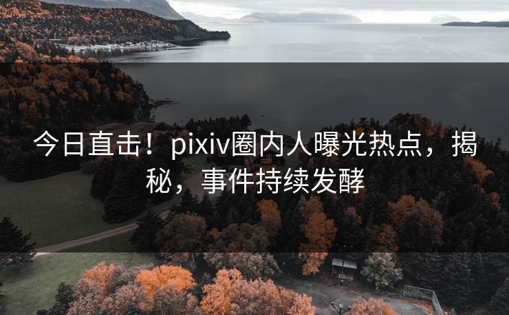 今日直击！pixiv圈内人曝光热点，揭秘，事件持续发酵