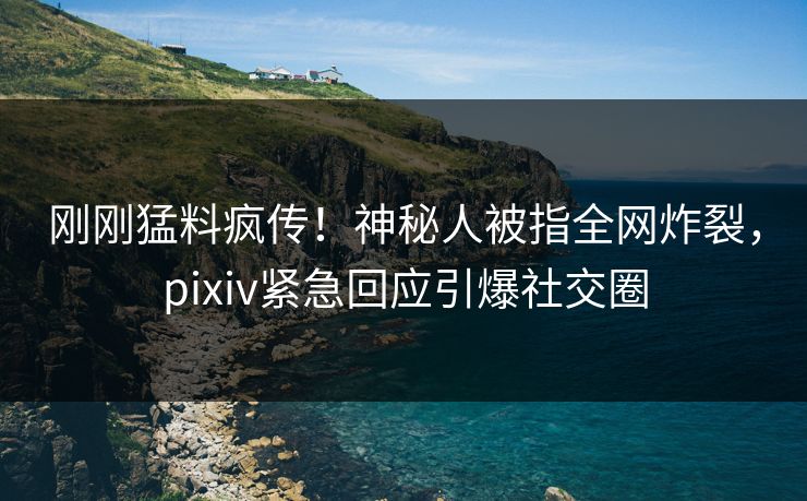刚刚猛料疯传！神秘人被指全网炸裂，pixiv紧急回应引爆社交圈