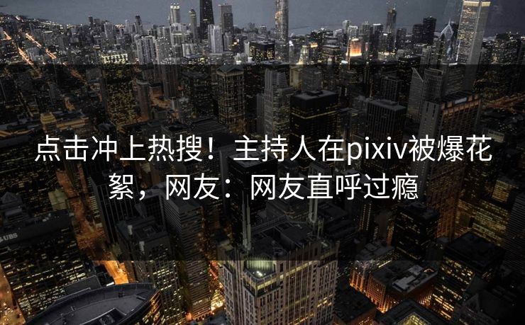 点击冲上热搜！主持人在pixiv被爆花絮，网友：网友直呼过瘾