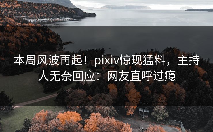 本周风波再起！pixiv惊现猛料，主持人无奈回应：网友直呼过瘾