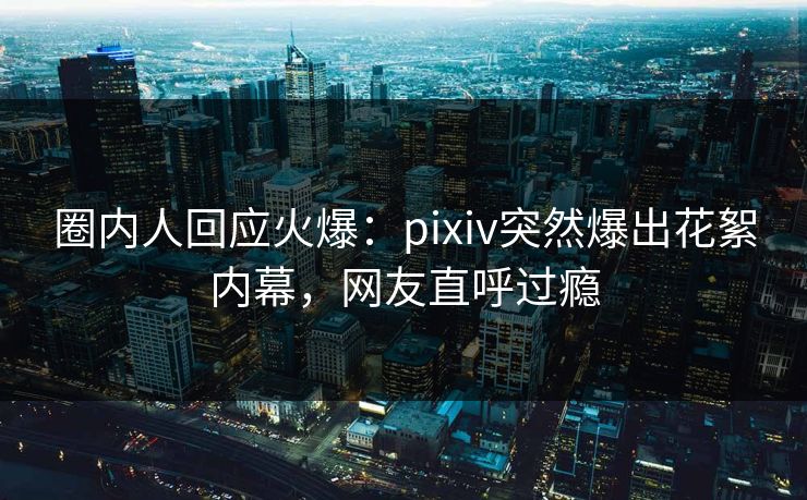 圈内人回应火爆：pixiv突然爆出花絮内幕，网友直呼过瘾