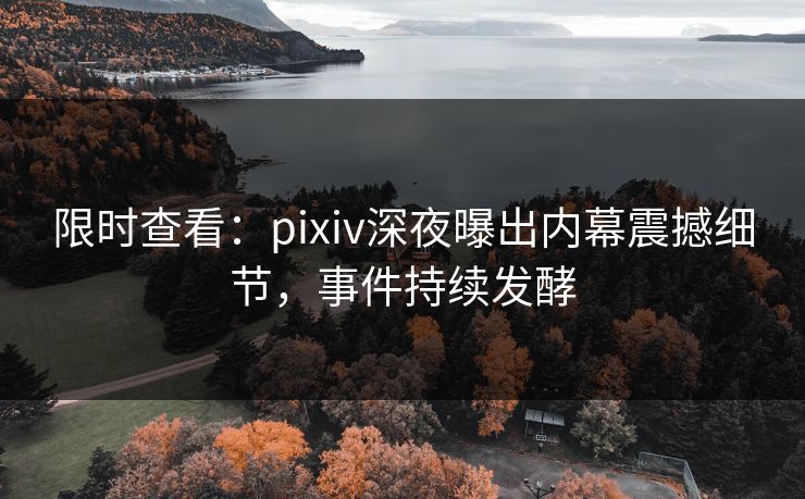 限时查看：pixiv深夜曝出内幕震撼细节，事件持续发酵
