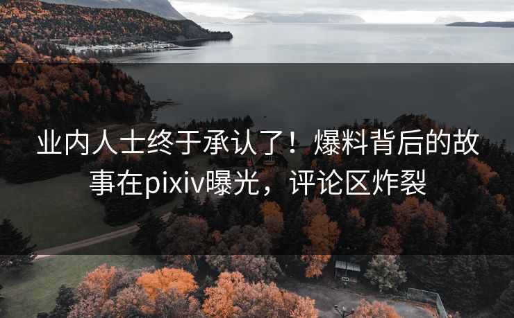 业内人士终于承认了！爆料背后的故事在pixiv曝光，评论区炸裂