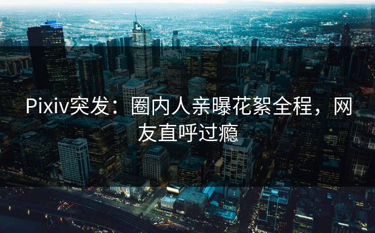 Pixiv突发：圈内人亲曝花絮全程，网友直呼过瘾