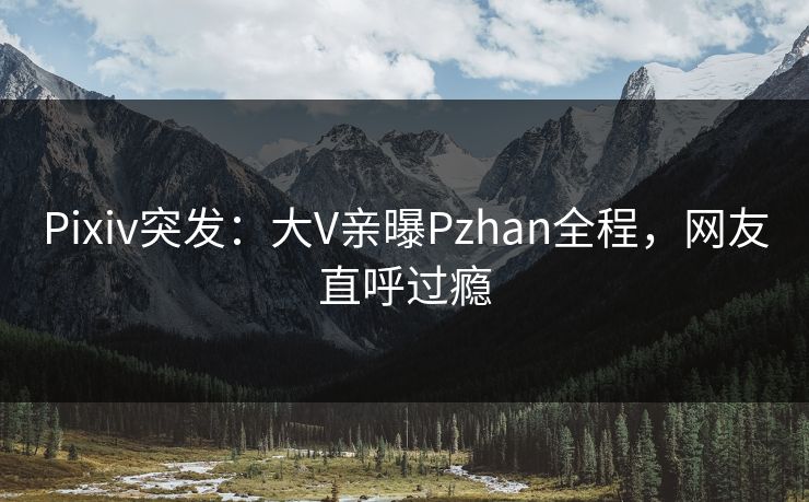Pixiv突发：大V亲曝Pzhan全程，网友直呼过瘾