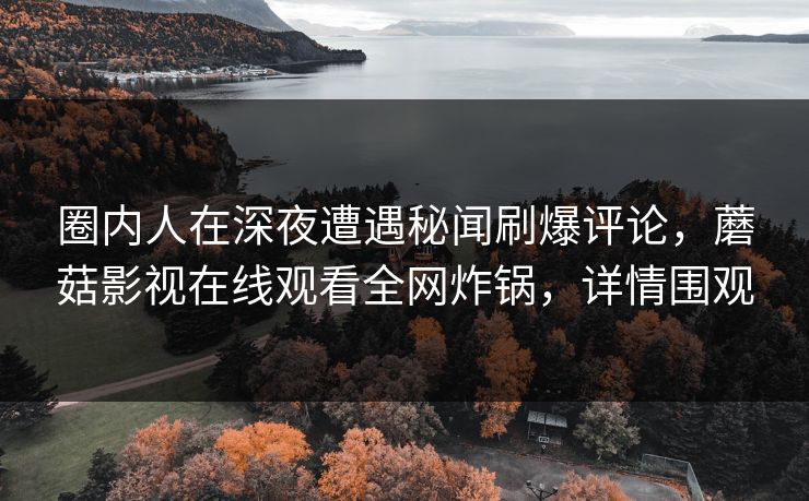 圈内人在深夜遭遇秘闻刷爆评论，蘑菇影视在线观看全网炸锅，详情围观