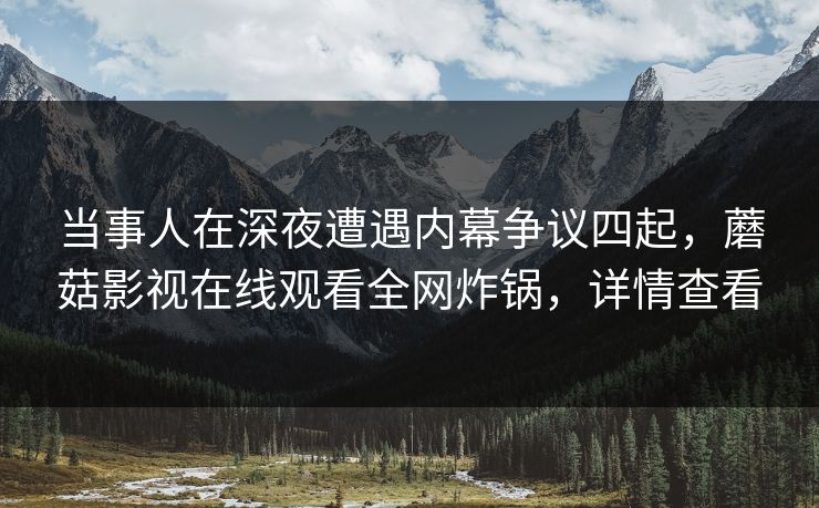 当事人在深夜遭遇内幕争议四起，蘑菇影视在线观看全网炸锅，详情查看